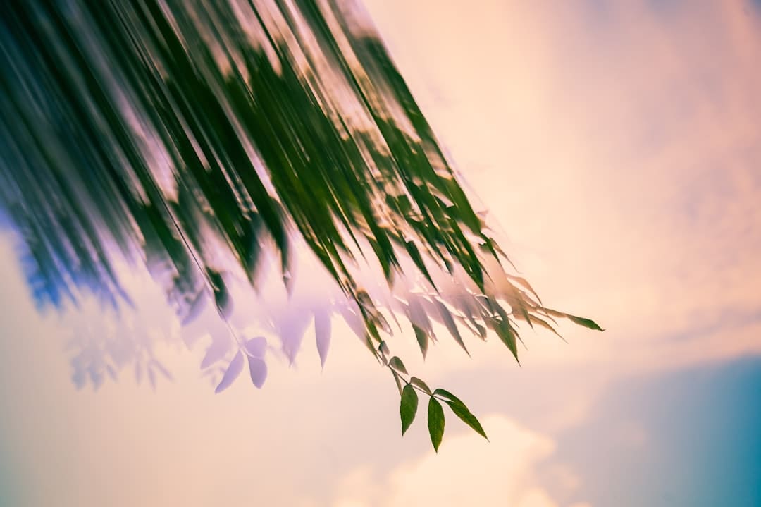 一次“互动”突然来袭！大面积异动！固态电池爆发！